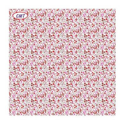 Tissu d'impression tissé en nylon spandex revêtu de couleurs accrocheuses pour les échantillons OEM et ODM